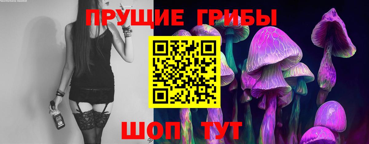 где купить наркоту  Псилоцибиновые грибы GOLDEN TEACHER  Вход с VPN  Калуга 